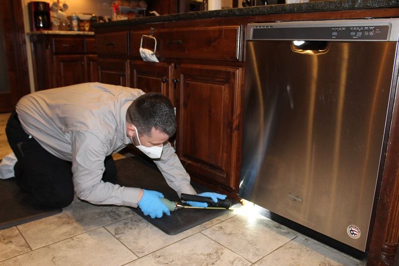 Termite Inspection - What Is Involved & What To Expect | Priority Pest ...
