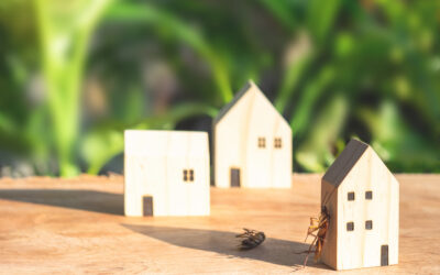 Is Residential Pest Control Worth The Money?