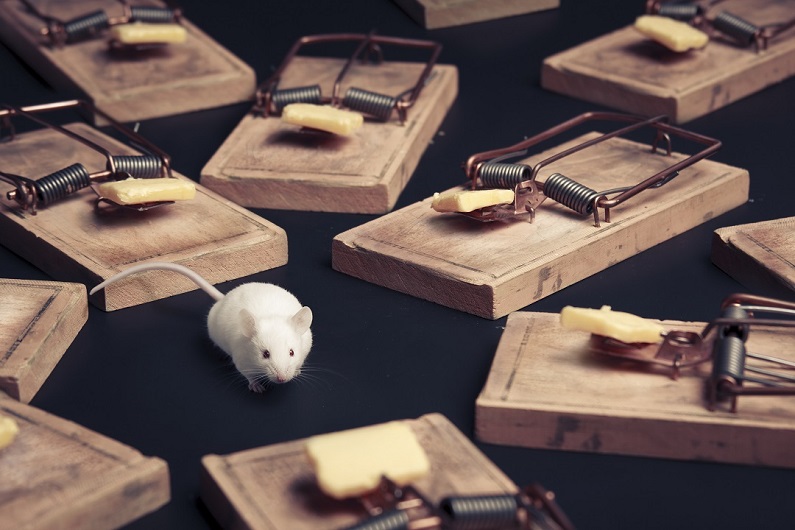 Why A Mouse Exterminator Is Better Than Mouse Traps