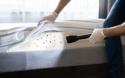 How To Get Rid Of Bed Bugs: DIY Edition