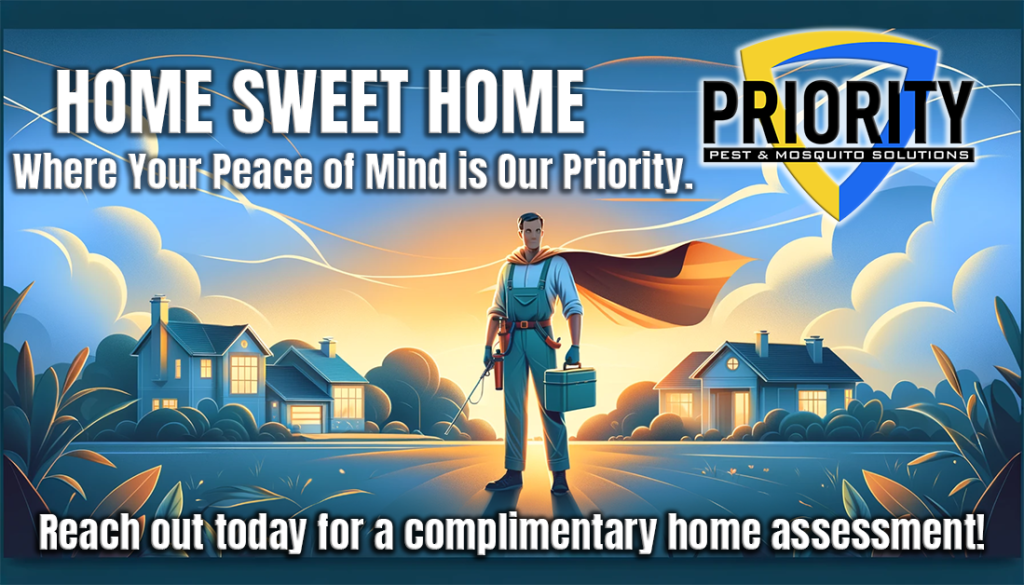 Pest Control Oklahoma City. Protect Your Home From Pests